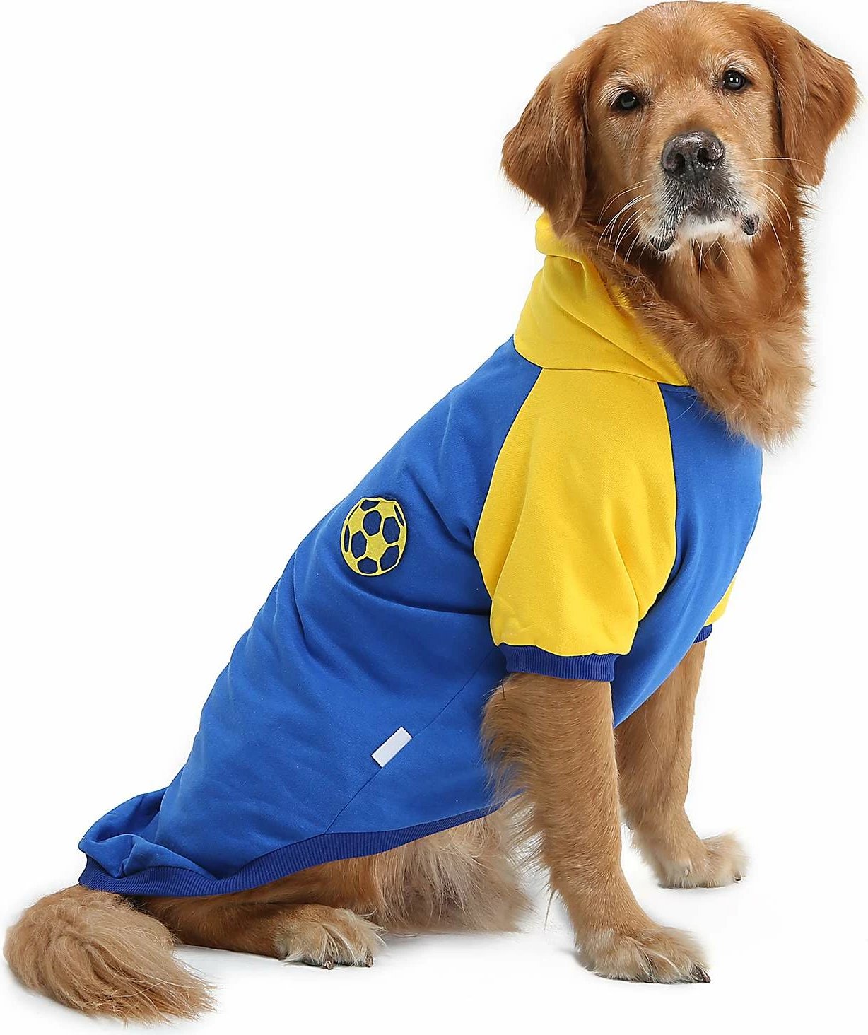 Bluze me kapuç për qen, Paws & Whiskers, ngjyrë kaltër dhe verdhë, madhësia 5XL