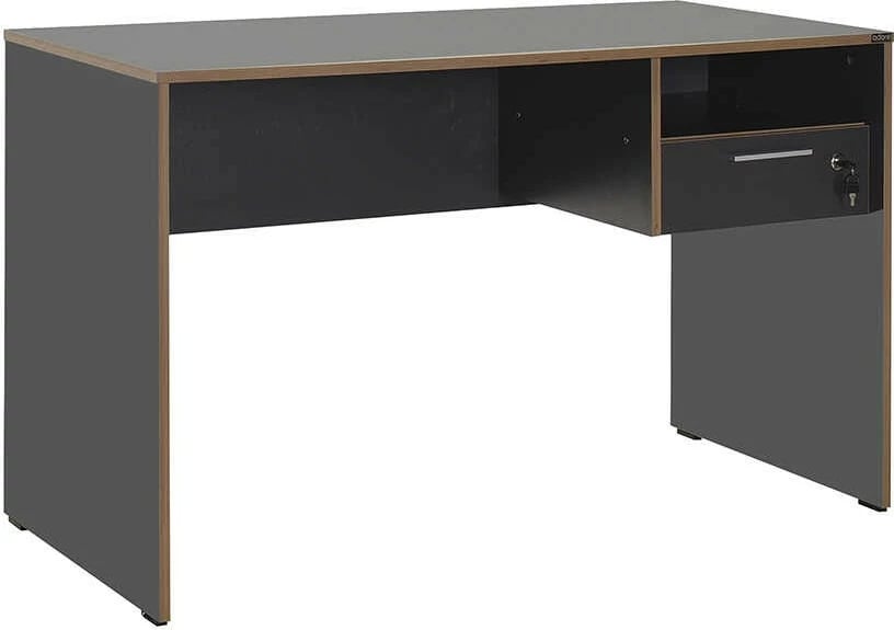 Tavolinë pune Hanah Home, anthracite dhe lis, Cms-510-Ax-1