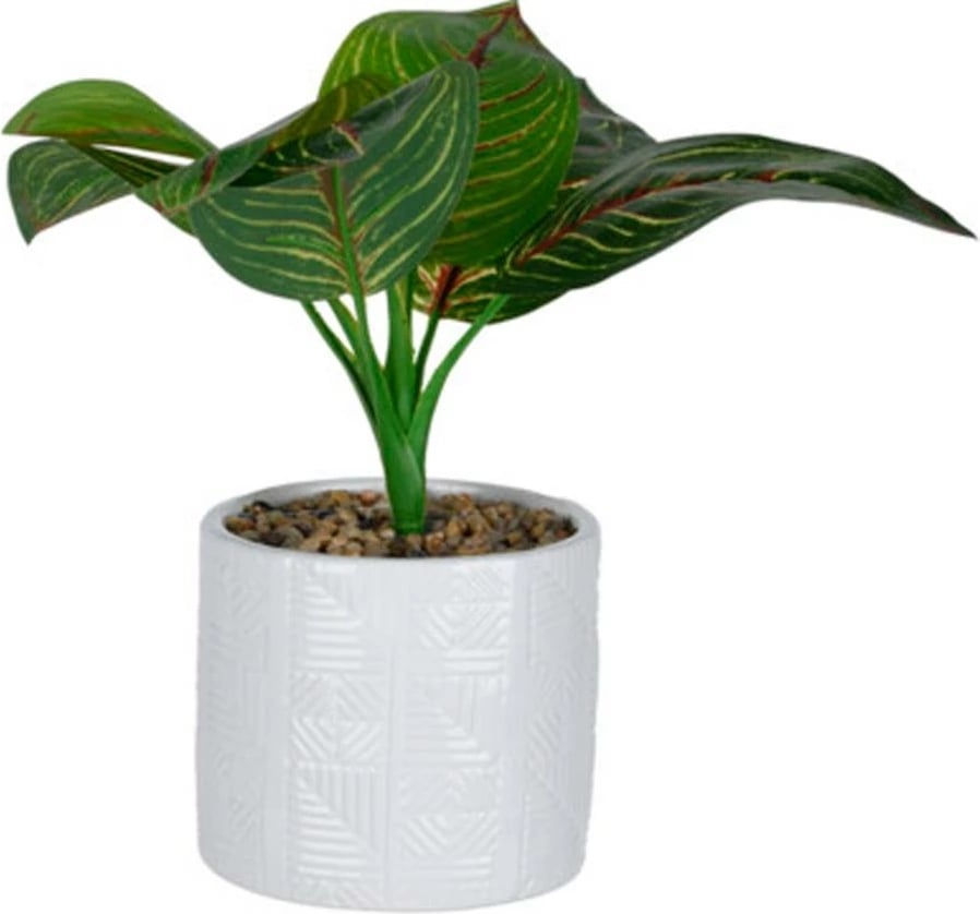 Bimë artificiale KOOPMAN në vazo qeramike të bardhë Ø11x10cm