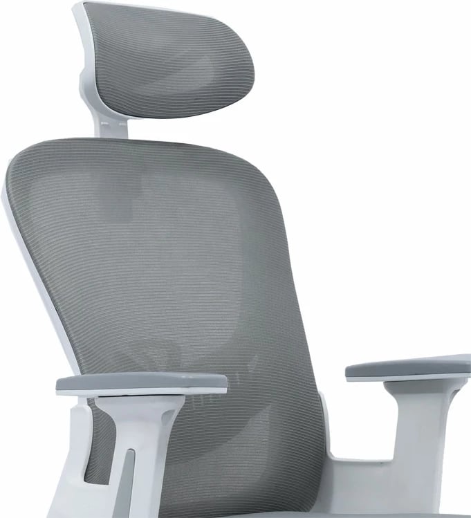 Karrige për zyre Ignatius, hiri