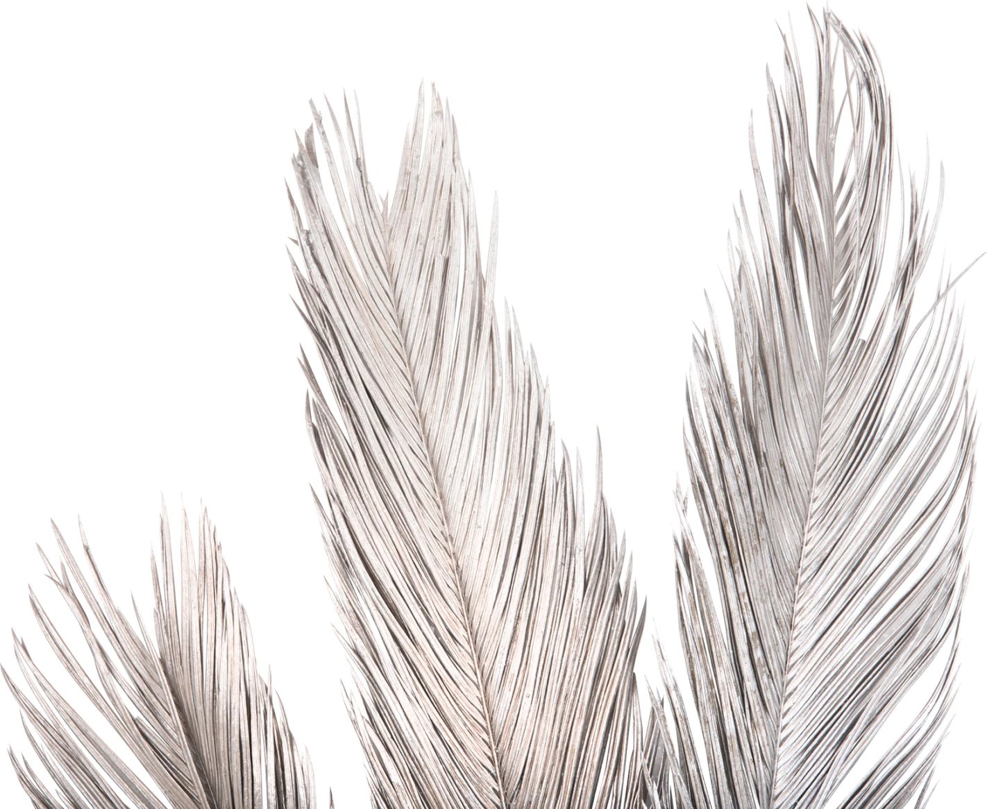 Set dekorativ me 3 gjethe palme të thata, ngjyrë argjendi, FH7957, 110H cm