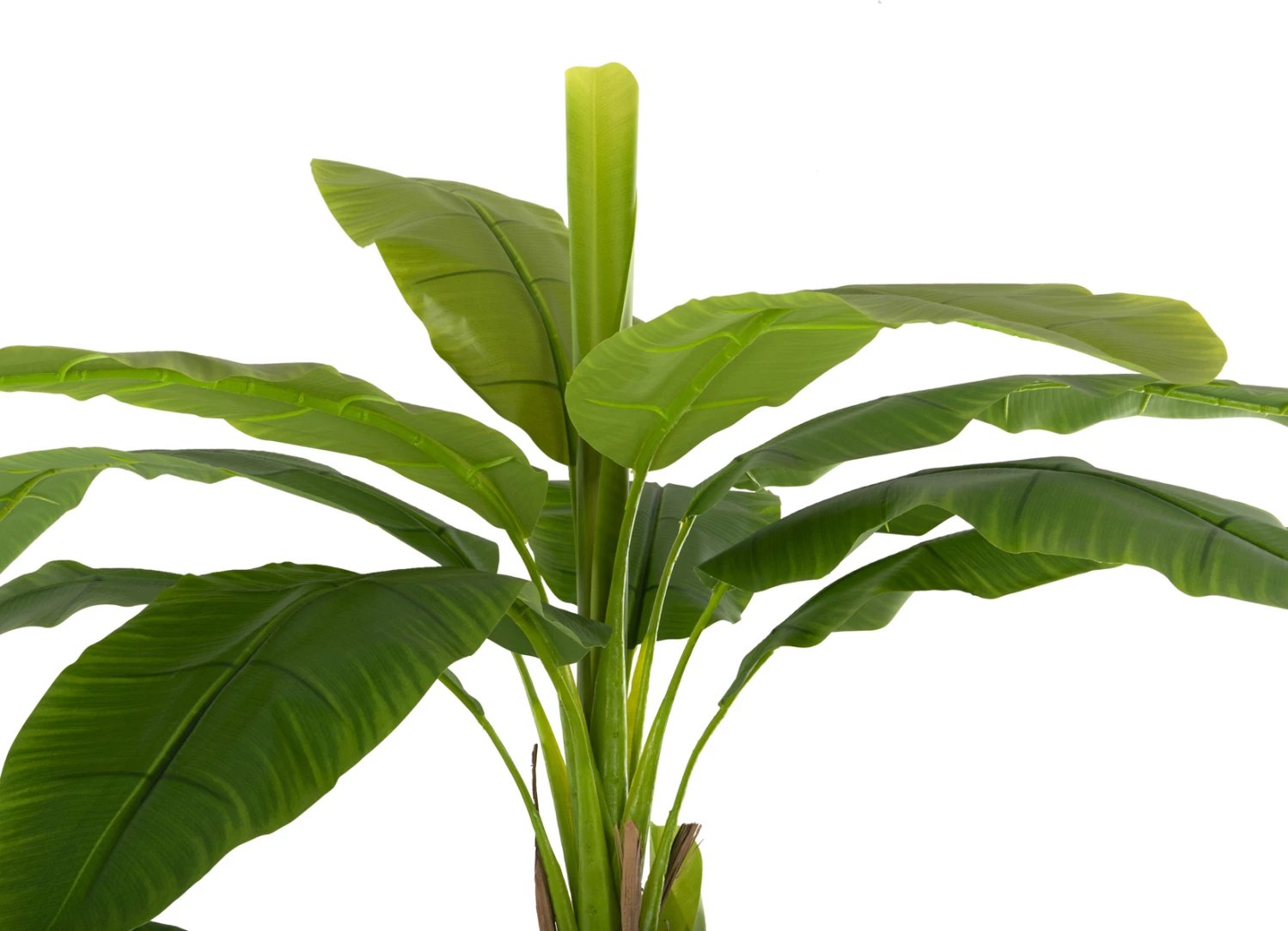 Bimë sintetike dekorative, pemë banane, FH7978, 200H cm