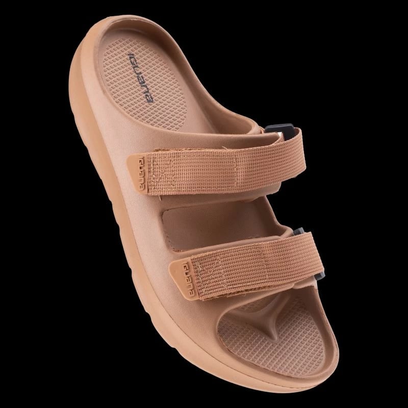 Papuqe meshkuj Iguana