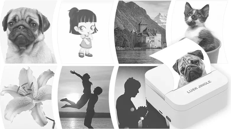 Printer termal për foto & etiketa, i bardhë