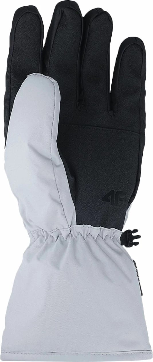 Doreza ski për meshkuj 4F, gri