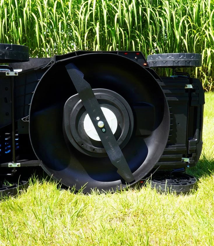 Kosë Elektrike BLAUPUNKT CL7010