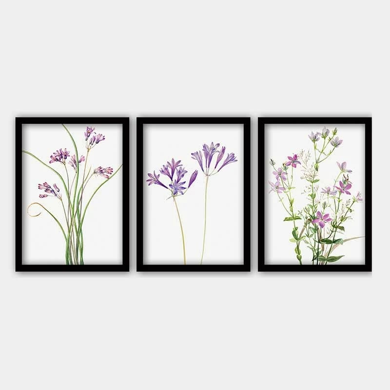 Pikturë dekorative me kornizë (3 copë), Wallity, 3SC_2613520_3545