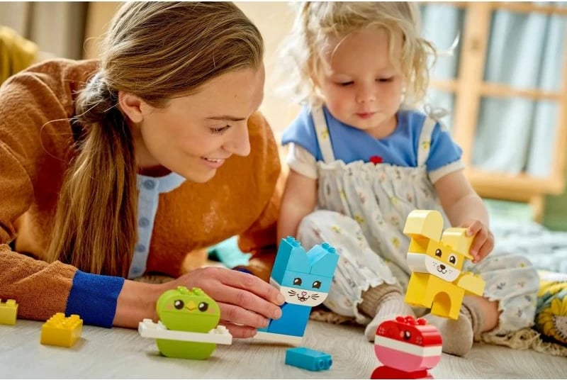 Lodra ndërtimi Lego për fëmijë, shumëngjyrëshe