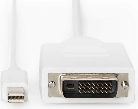 Kabllo adapter Digitus AK-340305-020-W, Mini DisplayPort në DVI-D (24+1), 2m, Bardhë