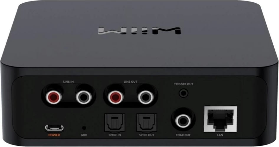 Network media player WiiM Pro, i zi