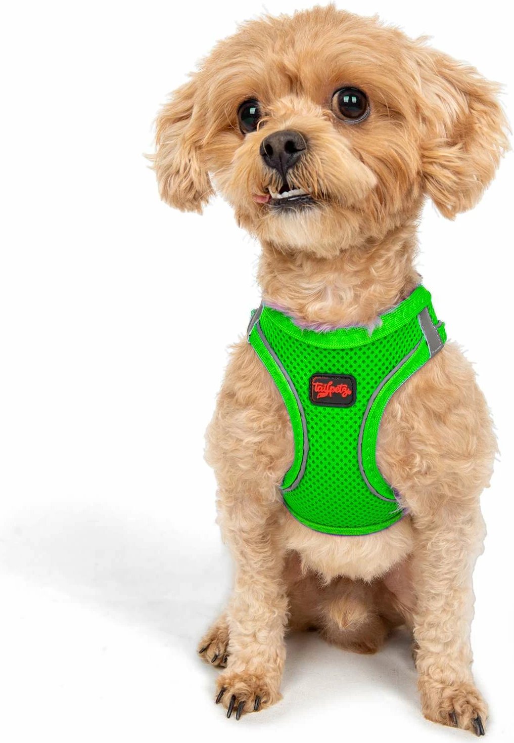 Parzmore për qen, ngjyrë Neo Green, Paws & Whiskers, Air-Mesh, S