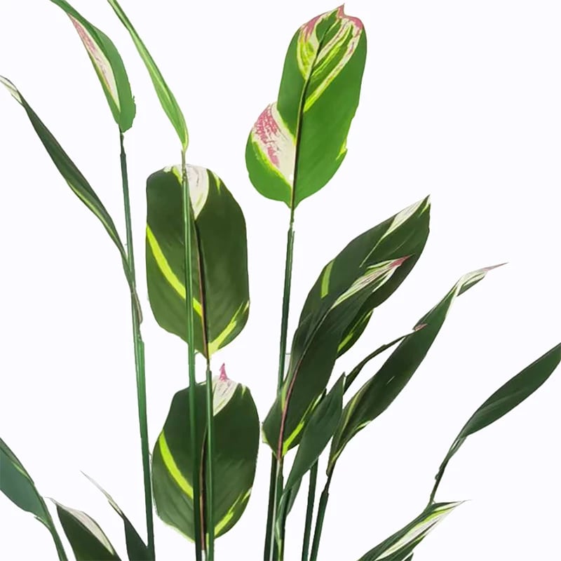 Bimë dekorative në vazo Lucky I Inart, e gjelbër, 80x210cm