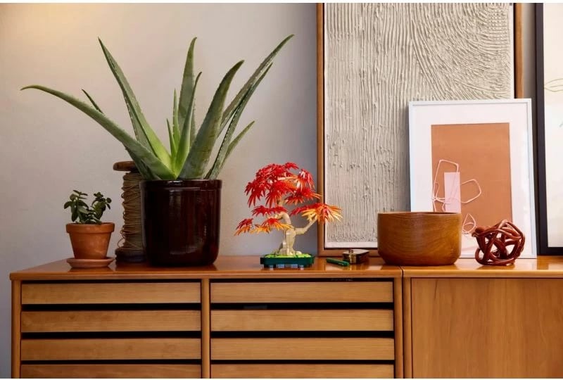 Set LEGO botanicals, Japanese Maple Bonsai