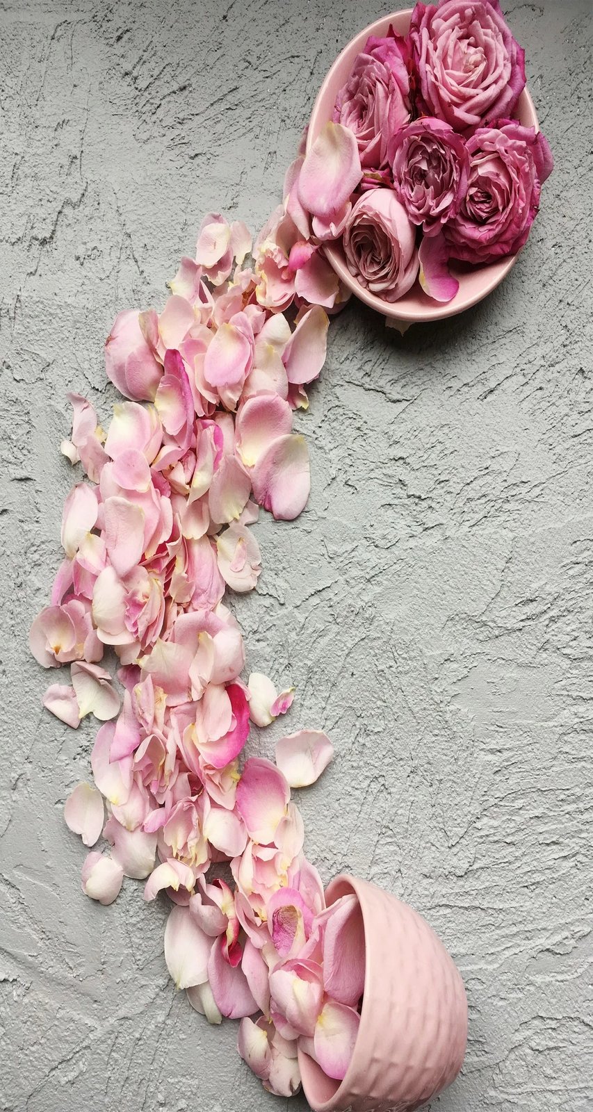 Set tapetash për banjo (2 copë), Mijolnir, CT-5262