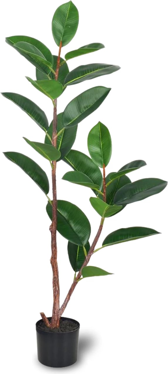 Bimë artificiale Rubber Tree. 150 cm