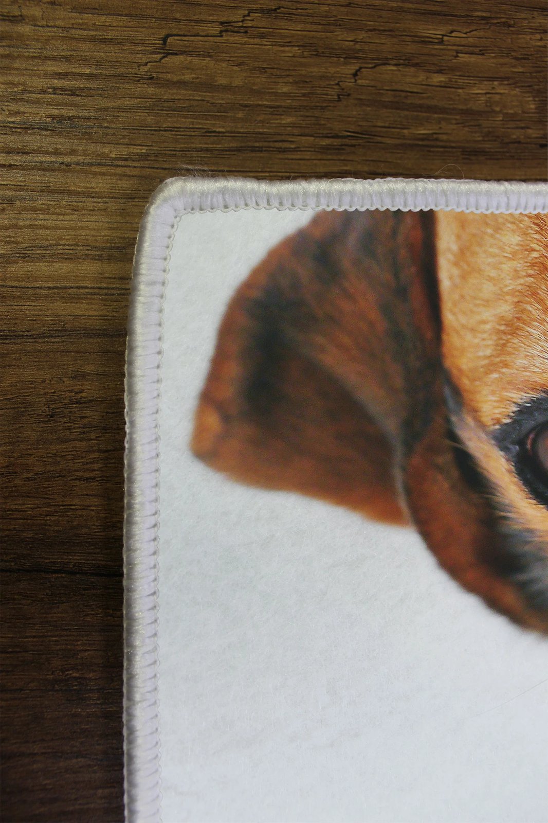 Qilim korridori, shumëngjyrësh, 80x300cm, Conceptum Hypnose, WOOKECE082