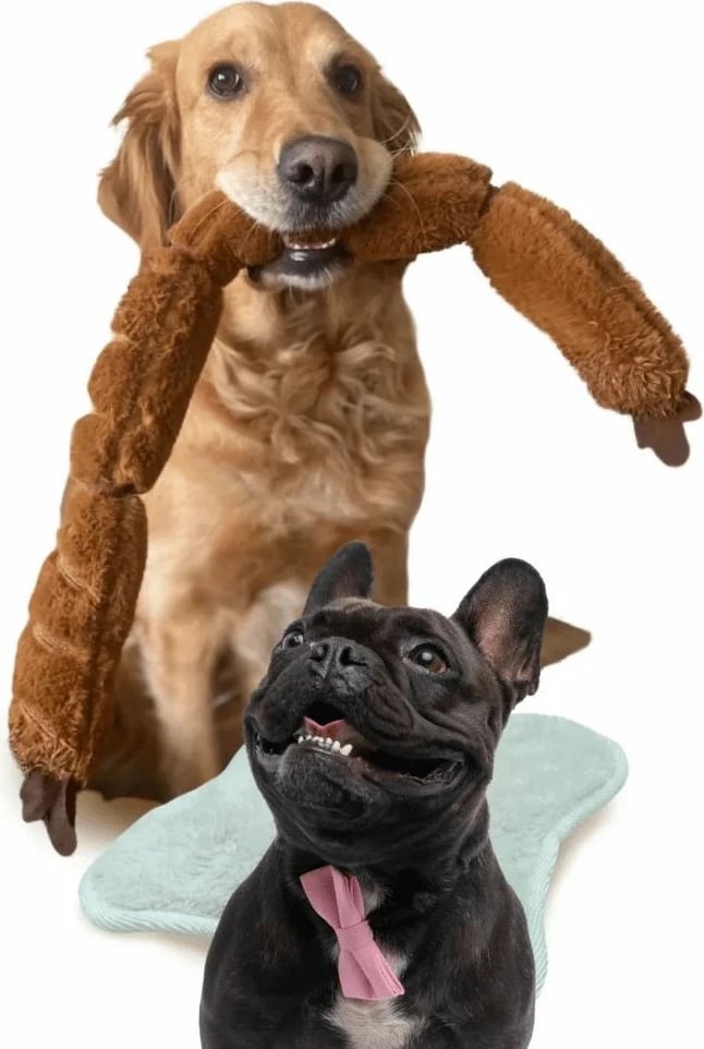 Lodër pelushi për qen, ngjyrë kafe, 65cm, Paws & Whiskers, Havhav 1013