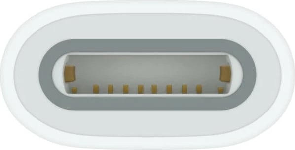 Adapter Apple USB-C për Apple Pencil, iPad 10, e bardhë