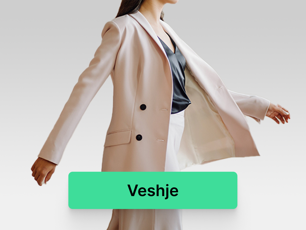 Veshje-kategori