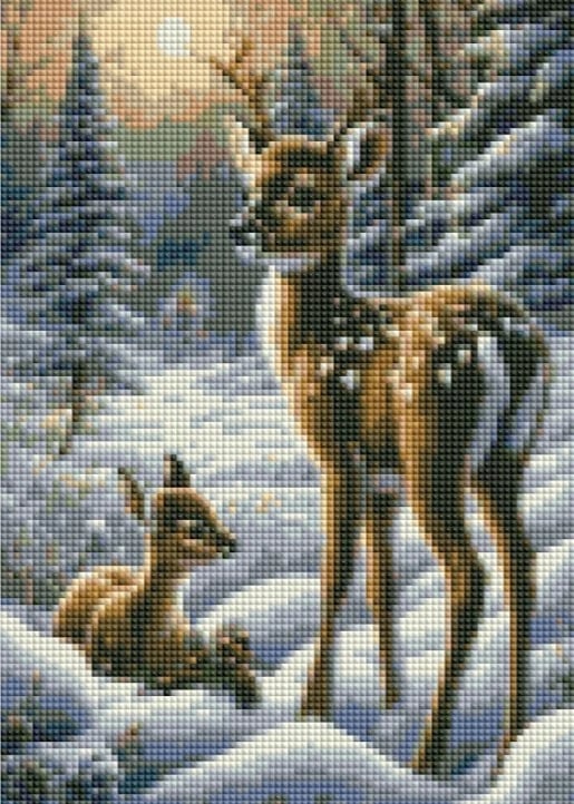 Mozaik diamanti Norimpex NO-2001521, 30x40 cm, shumëngjyrësh, Dreri në borë