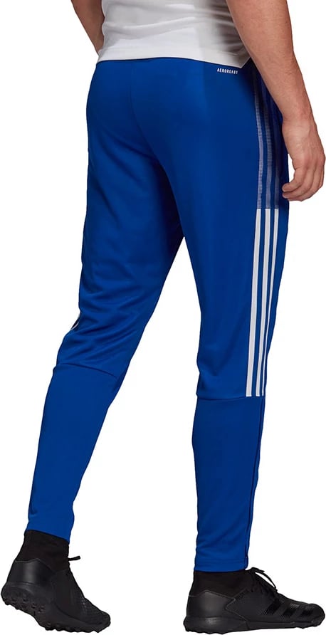 Pantallona sportive adidas për meshkuj, të kaltërta
