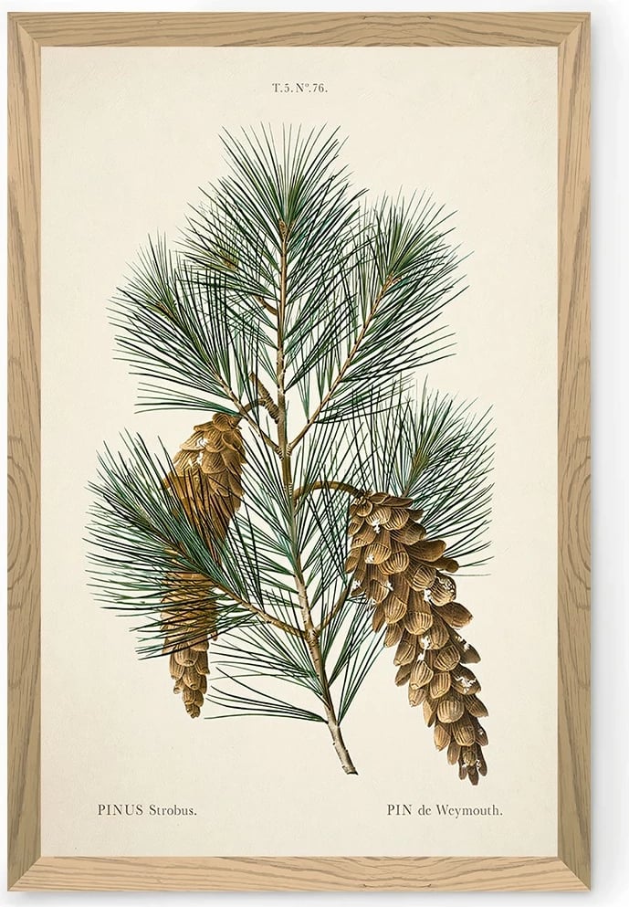 Pikturë dekorative, Wallity, Tekhammdf64, shumëngjyrëshe, 33x48cm