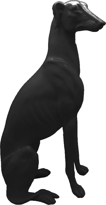 Dekor qeni IBIZAN, polirezine, ngjyrë e zezë me shkëlqim, 16x2x22cm