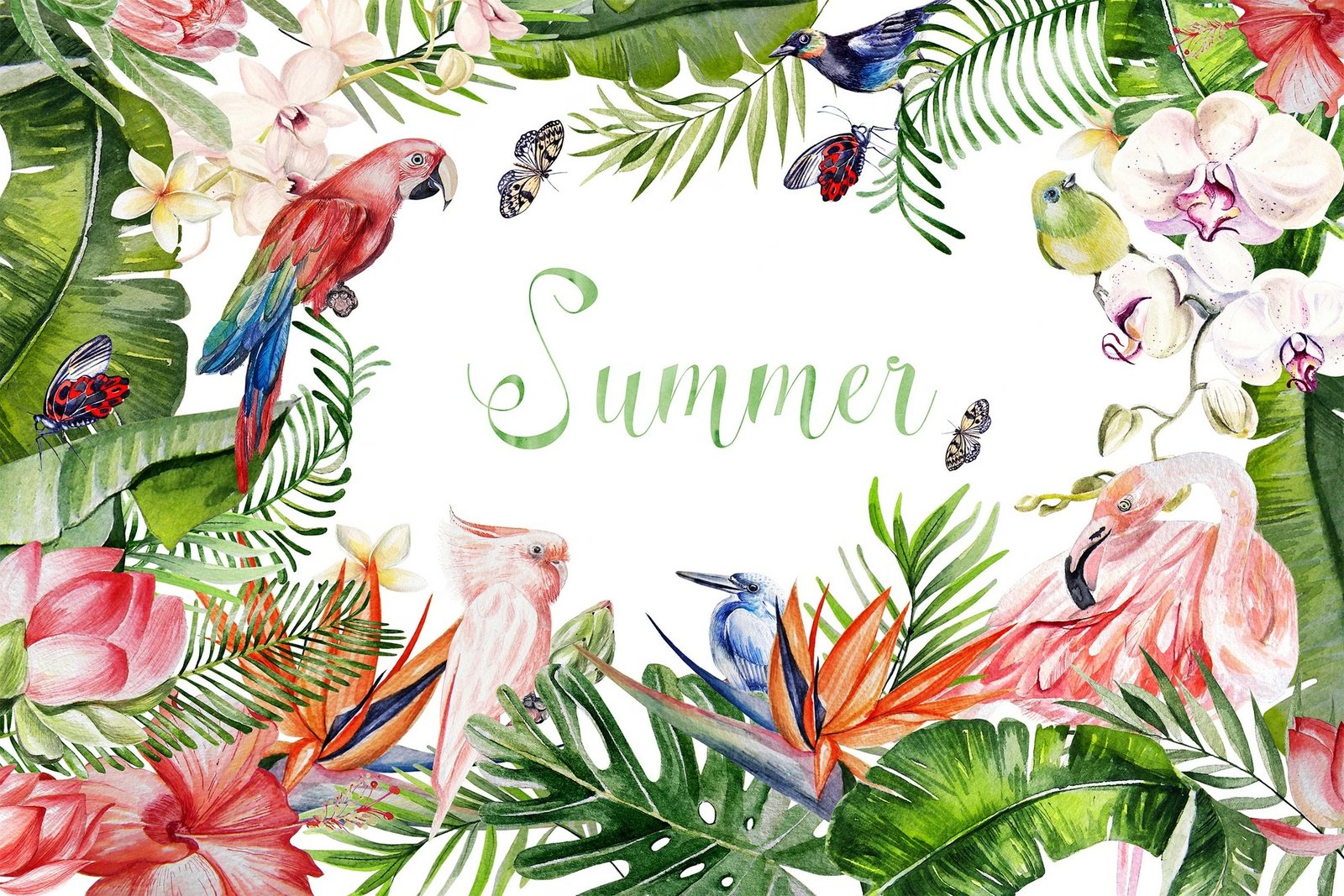 Set tapetash për banjo (2 copë), Mijolnir, CT-5317