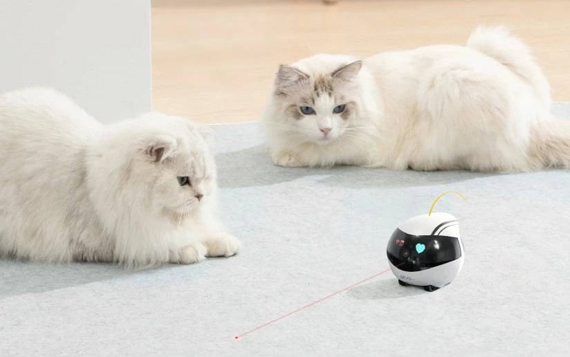 Robot për kafshë Enabot EBO Air, kamerë 1080p, ndjekje KI, LiDAR, kontroll me app, bardhë