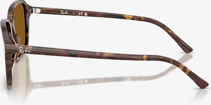 Syze dielli Ray-Ban RB2231 141833 58