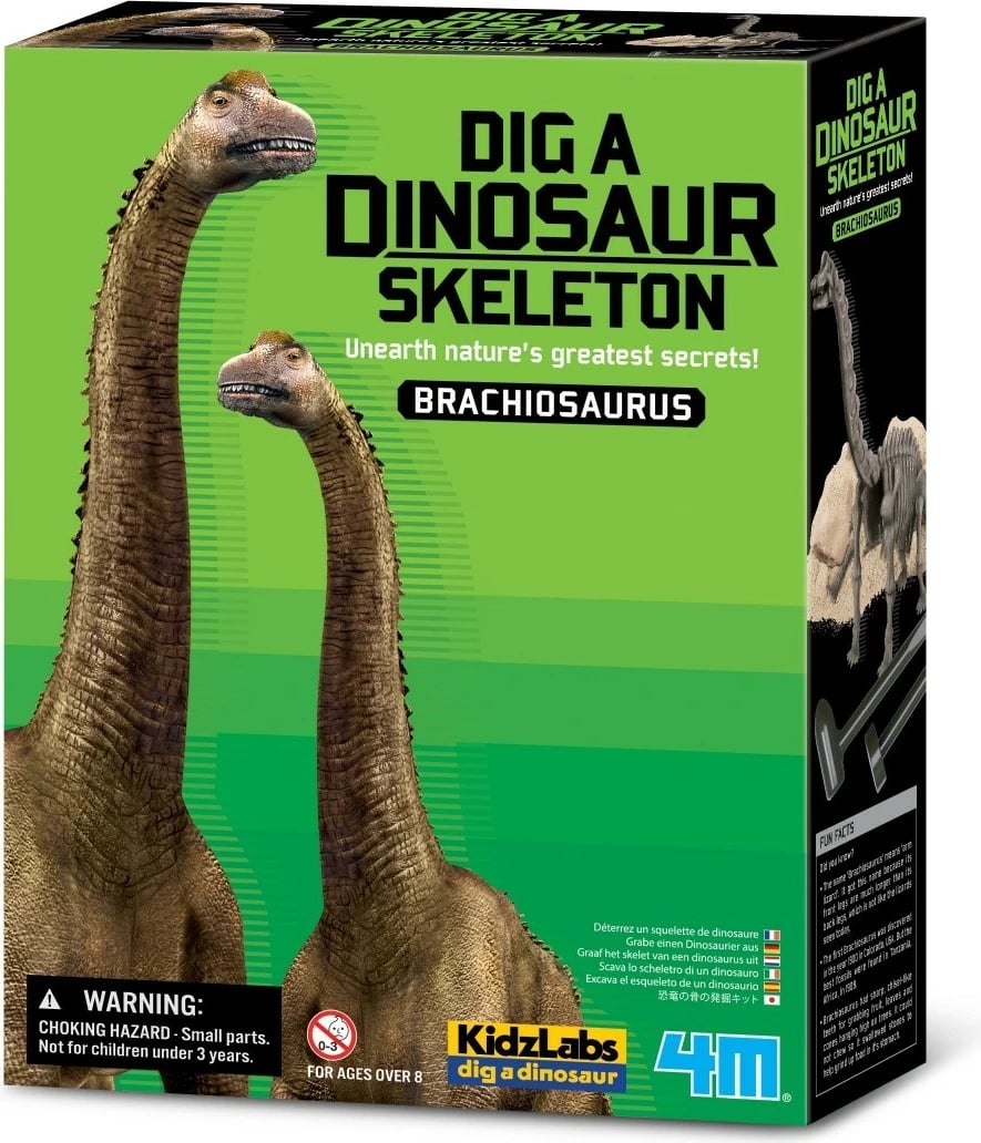 Set arkeologjik 4m KidzLabs Dig a Dinosaur Skeleton Brachiosaurus, për fëmijë, 28 cm