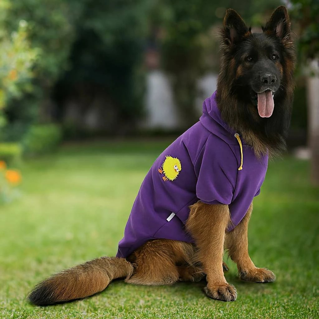 Bluzë me kapuç për qen, ngjyrë vjollcë, Paws & Whiskers, Purplechicksweat