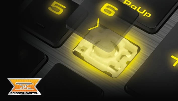 Tastier Vantar S Cougar