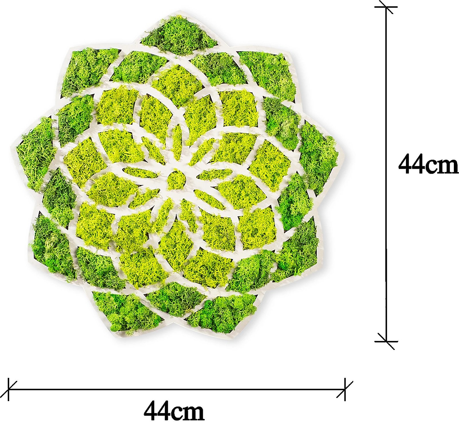 Aksesor dekorativ për mur Wallity, Daisy, jeshile dhe e bardhë