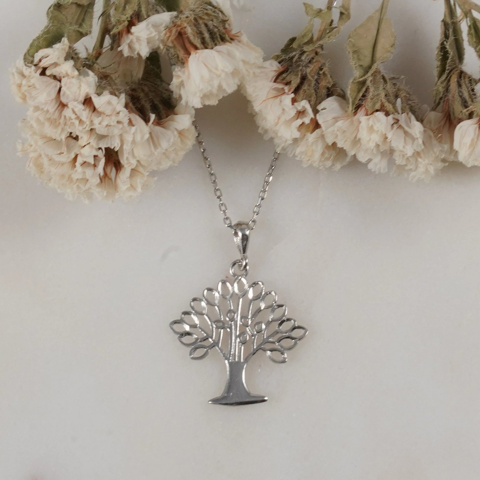 Varëse argjendi Jumeon, 10911ROD