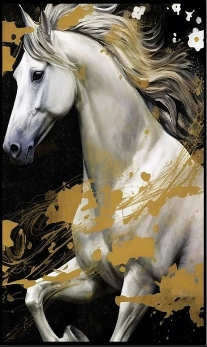 Set tapetash për banjo, Mijölnir, 2 copë, CT-5420