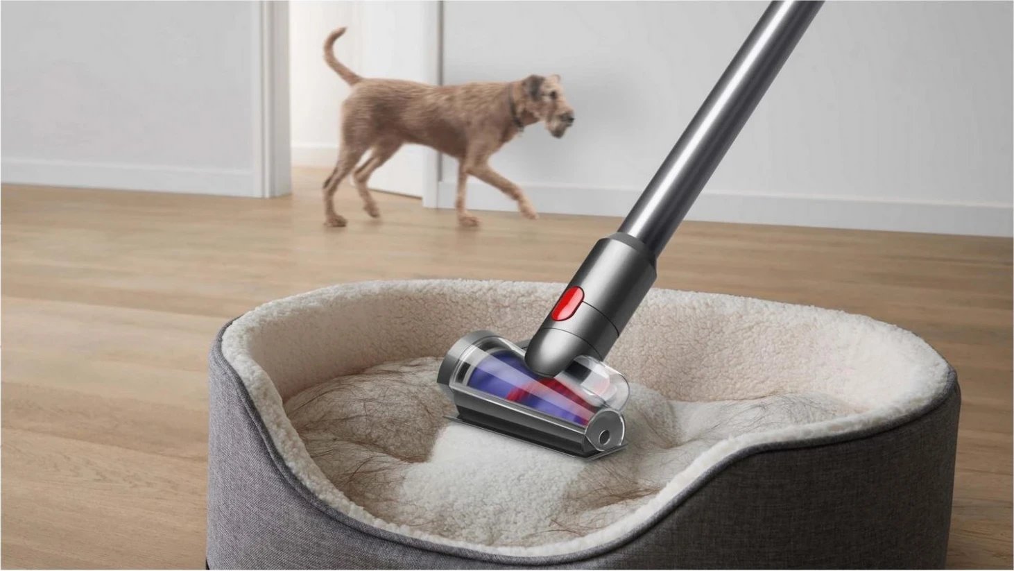 Fshesë me korrent Dyson V8 Absolute, pa qese, vertikale, e verdhë