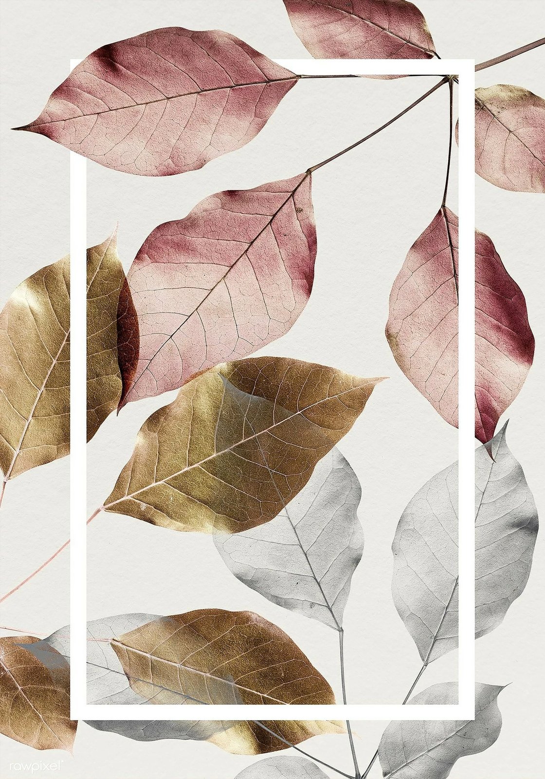 Set tapetesh për banjo, 2 copë, Mijolnir, CT-5061