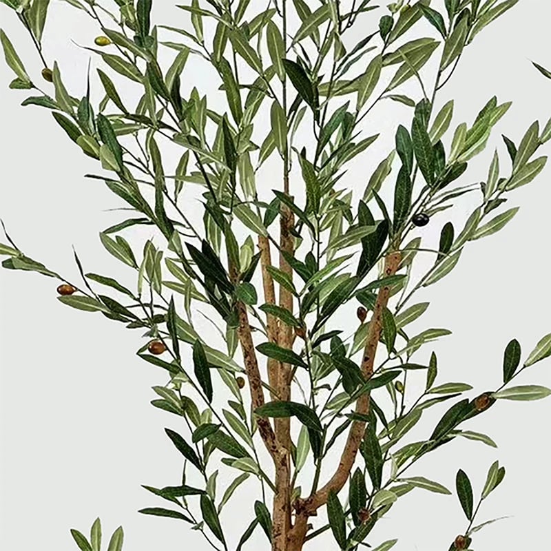 Bimë dekorative në vazo Olia, e gjelbër, 65x55x180cm