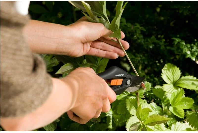 Gërshërë krasitjeje Fiskars SingleStep Bypass P26, 210 mm, e zezë/portokalli