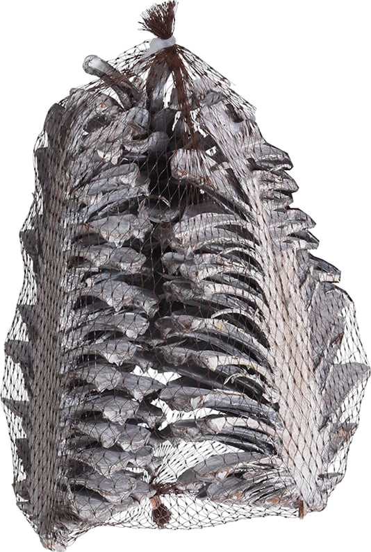 Dekorata festive Maritima, të bardha, 14x9x6 cm