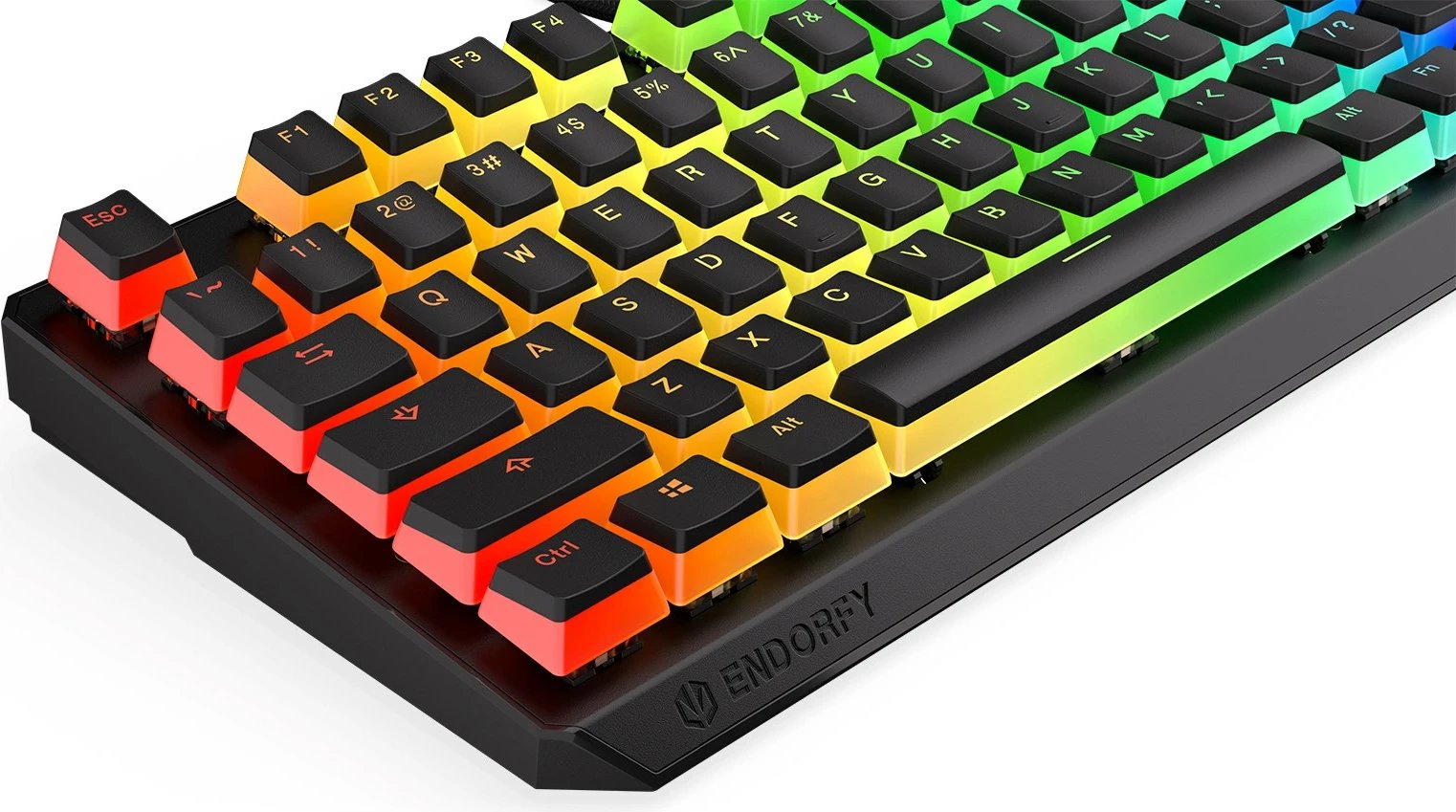 Tastierë për gaming, Endorfy