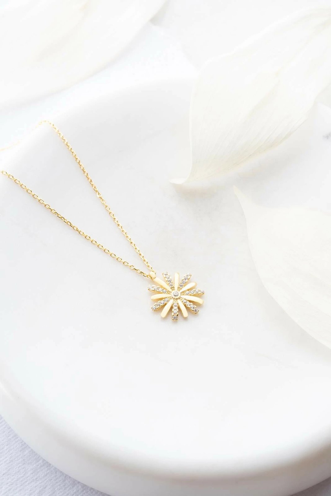 Qafore argjendi, ngjyrë ari, Jumeon, NRZ999101