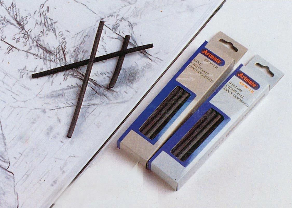 Set profesional për pikturë me qymyr Artmate 12 copë