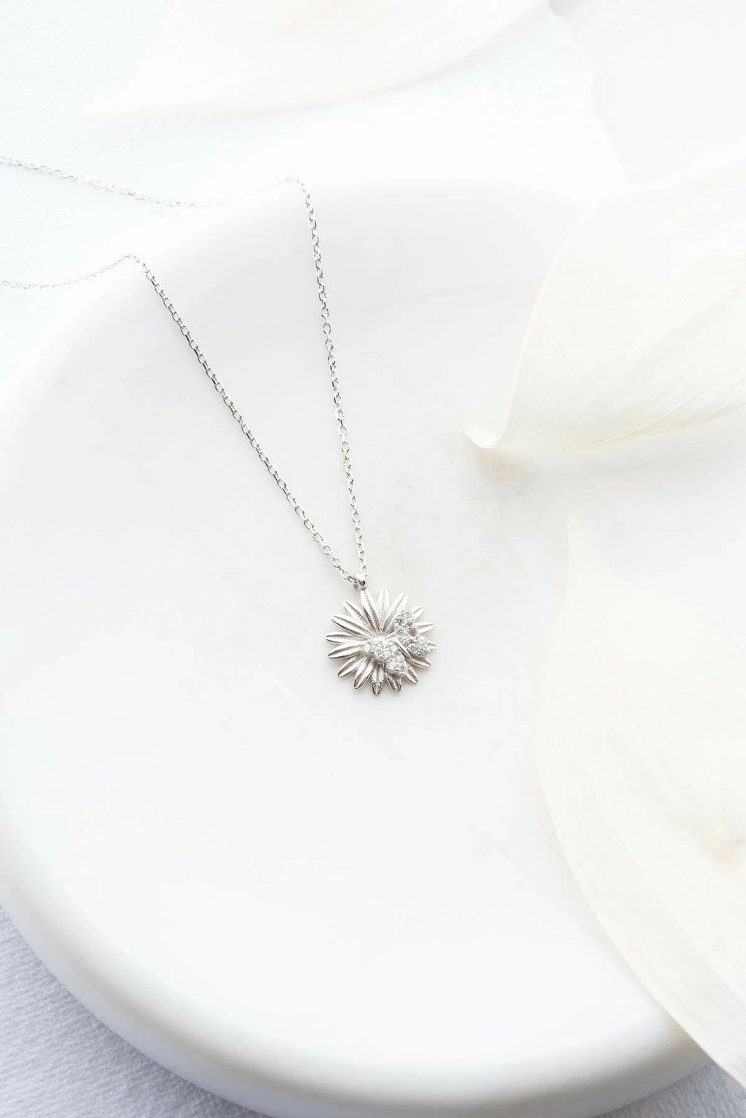 Varëse argjendi, Jumeon, NRZ999091