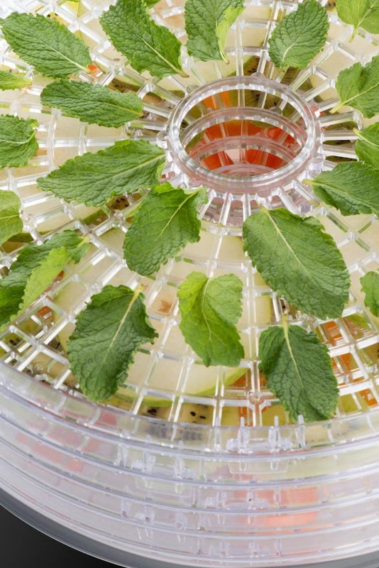 Tharëse Frutash ETA ETA830190000