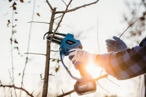 Sharrë BLAUPUNKT CS2010