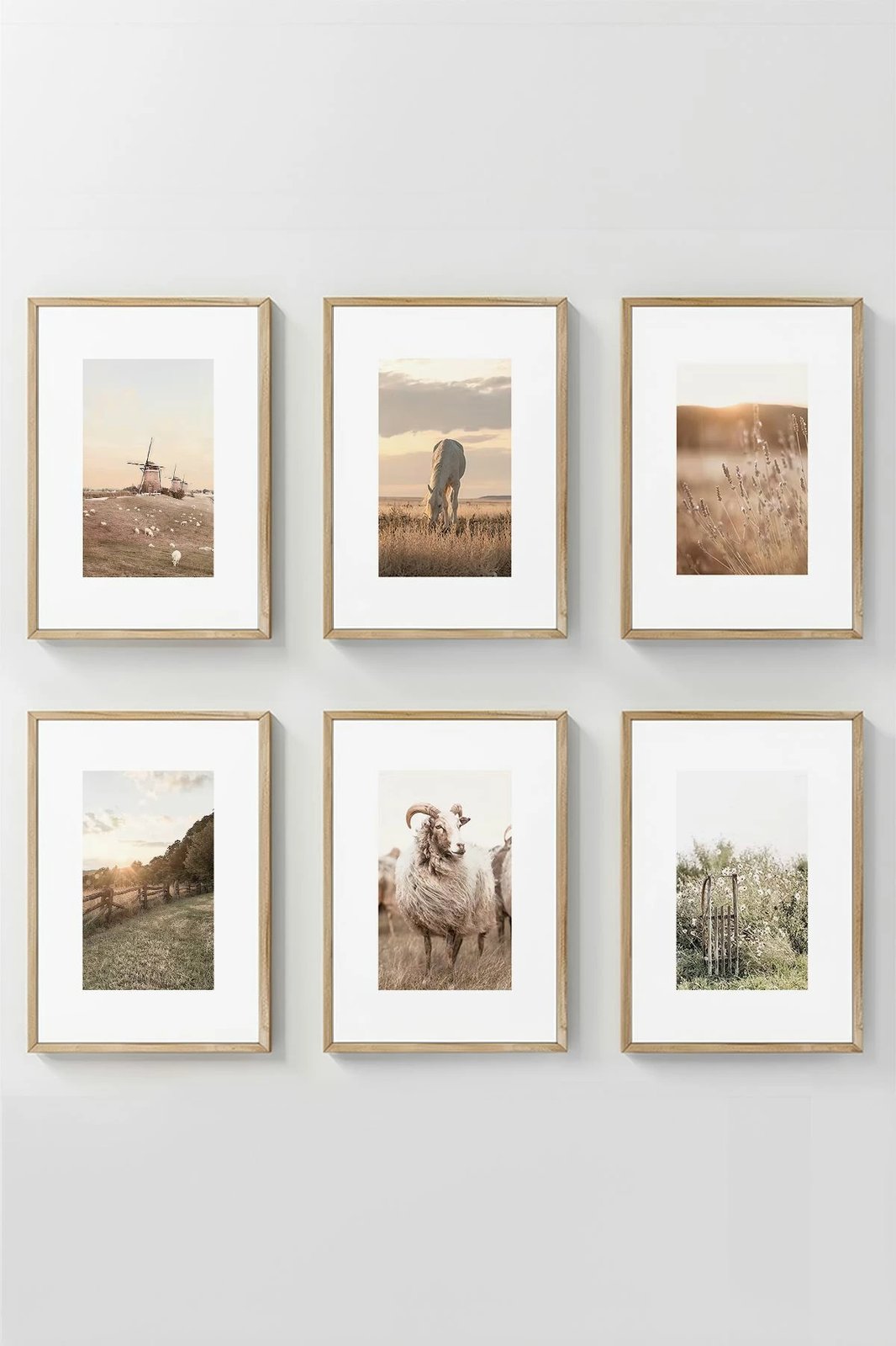 Set pikturash dekorative me kornizë (6 copë), Wallity, Artavessastko77