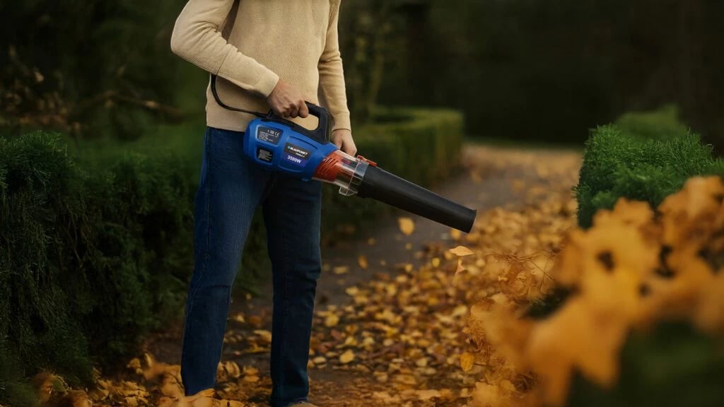 Fryrëse Gjethesh BLAUPUNKT LB3010