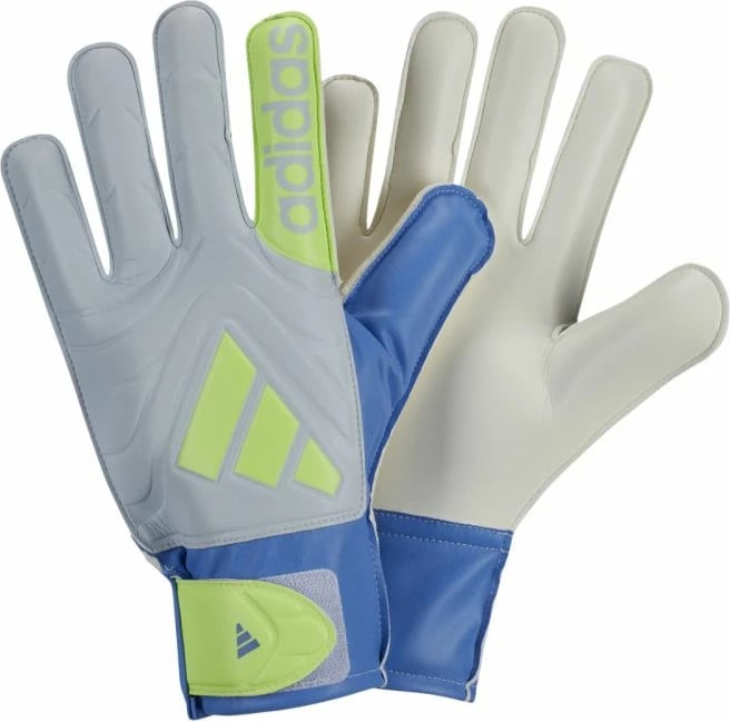 Dorëza portieri adidas për meshkuj, të kaltra